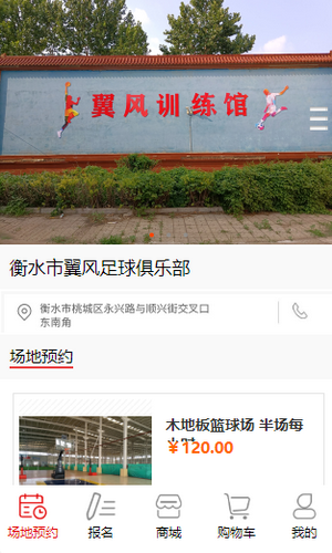 翼风足球俱乐部